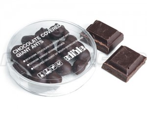 chocolate-covered-ants