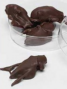 chocolate-covered-crickets1