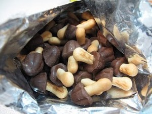 chocolate-covered-mushrooms